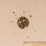 Mélanges de fleurs - Fleurs Méllifères en Mélange - BIO - MEDIA_3D